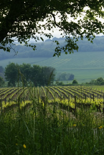 Coteaux Charitoirs